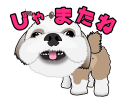 Move! Cute Shih Tzu sticker #13456405