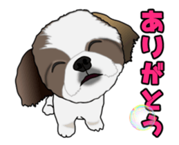 Move! Cute Shih Tzu sticker #13456409