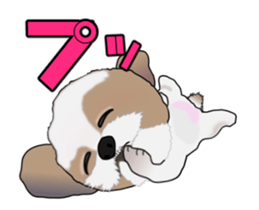 Move! Cute Shih Tzu sticker #13456410