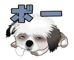 Move! Cute Shih Tzu sticker #13456414