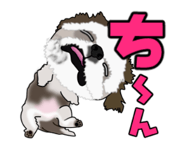 Move! Cute Shih Tzu sticker #13456415