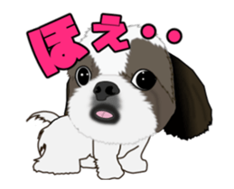 Move! Cute Shih Tzu sticker #13456418