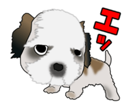 Move! Cute Shih Tzu sticker #13456419