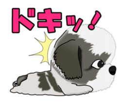 Move! Cute Shih Tzu sticker #13456420