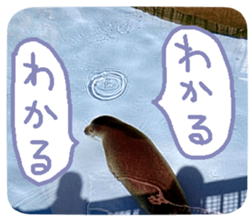 Calmanimal.Nature sticker #13456645