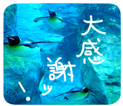 Calmanimal.Nature sticker #13456646