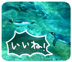 Calmanimal.Nature sticker #13456651