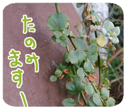 Calmanimal.Nature sticker #13456653