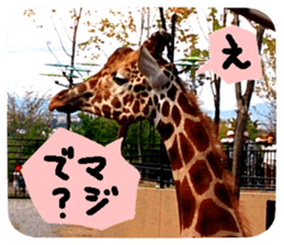 Calmanimal.Nature sticker #13456655