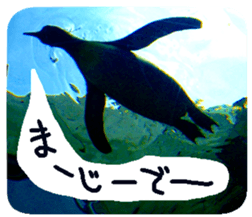 Calmanimal.Nature sticker #13456661