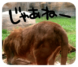 Calmanimal.Nature sticker #13456667