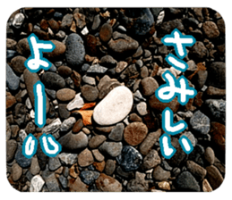 Calmanimal.Nature sticker #13456668