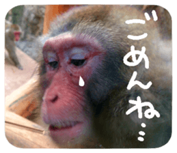 Calmanimal.Nature sticker #13456670