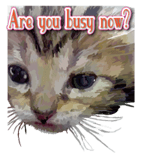 Kitten 01 English version sticker #13456682