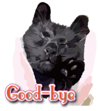 Kitten 01 English version sticker #13456684