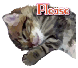 Kitten 01 English version sticker #13456686