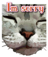 Kitten 01 English version sticker #13456688