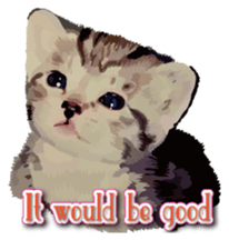 Kitten 01 English version sticker #13456689