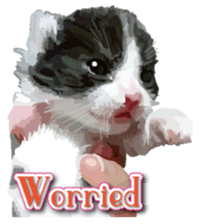 Kitten 01 English version sticker #13456690