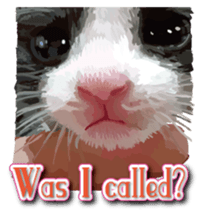 Kitten 01 English version sticker #13456692