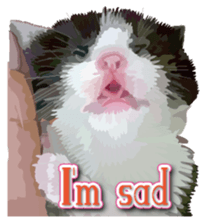 Kitten 01 English version sticker #13456694