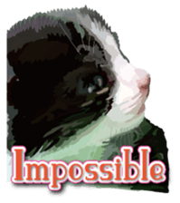 Kitten 01 English version sticker #13456696