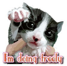 Kitten 01 English version sticker #13456697