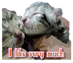 Kitten 01 English version sticker #13456698