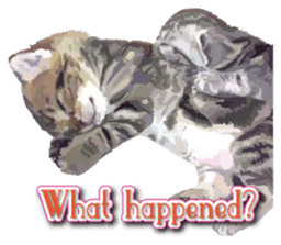 Kitten 01 English version sticker #13456699