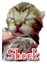 Kitten 01 English version sticker #13456703