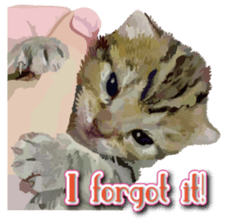Kitten 01 English version sticker #13456704
