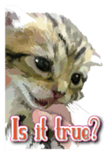 Kitten 01 English version sticker #13456706