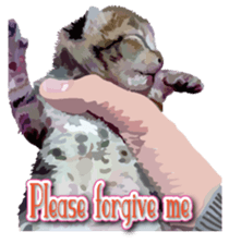 Kitten 01 English version sticker #13456708