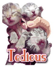 Kitten 01 English version sticker #13456710