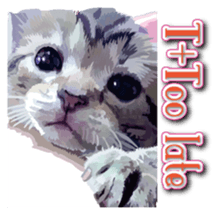 Kitten 01 English version sticker #13456713