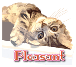 Kitten 01 English version sticker #13456715