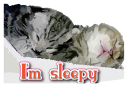 Kitten 01 English version sticker #13456717