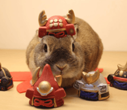 Nose Rabbit Konatsu sticker #13457241