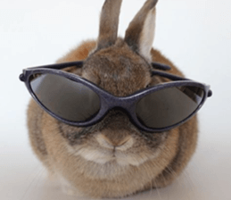 Nose Rabbit Konatsu sticker #13457242