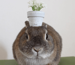 Nose Rabbit Konatsu sticker #13457243