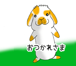 Muu-chan of Holland Lop sticker #13457814