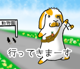 Muu-chan of Holland Lop sticker #13457816