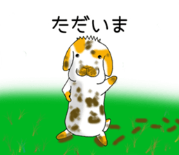 Muu-chan of Holland Lop sticker #13457819
