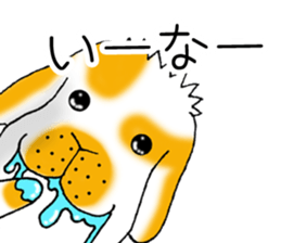 Muu-chan of Holland Lop sticker #13457821