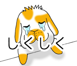 Muu-chan of Holland Lop sticker #13457822