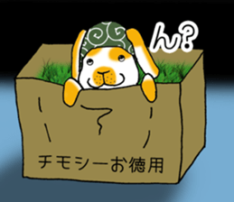 Muu-chan of Holland Lop sticker #13457824