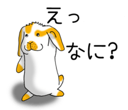 Muu-chan of Holland Lop sticker #13457825