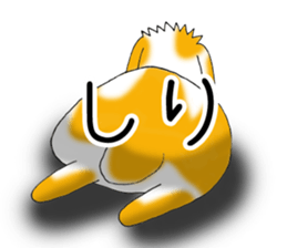 Muu-chan of Holland Lop sticker #13457826