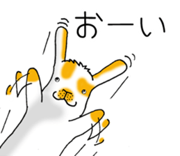 Muu-chan of Holland Lop sticker #13457827