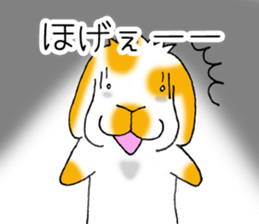 Muu-chan of Holland Lop sticker #13457830